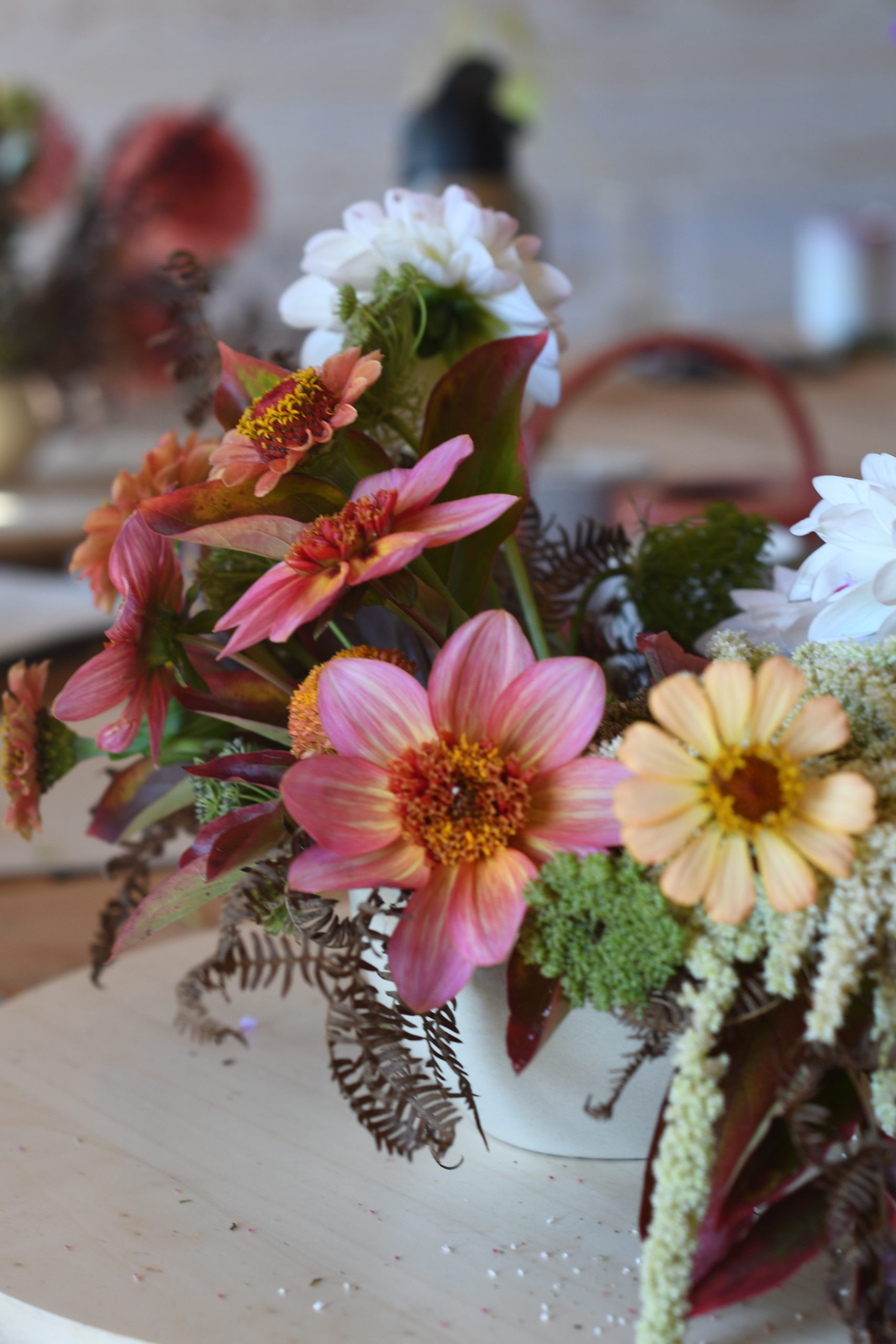 DSC_8238