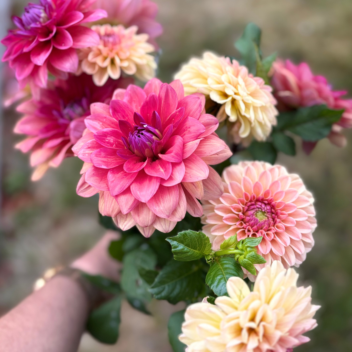 fleur de saison