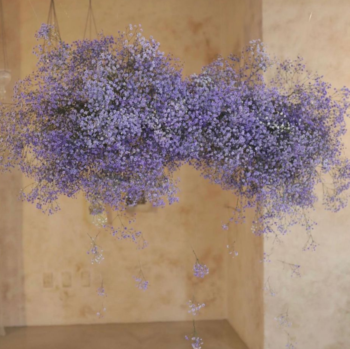 nuage gypsophile