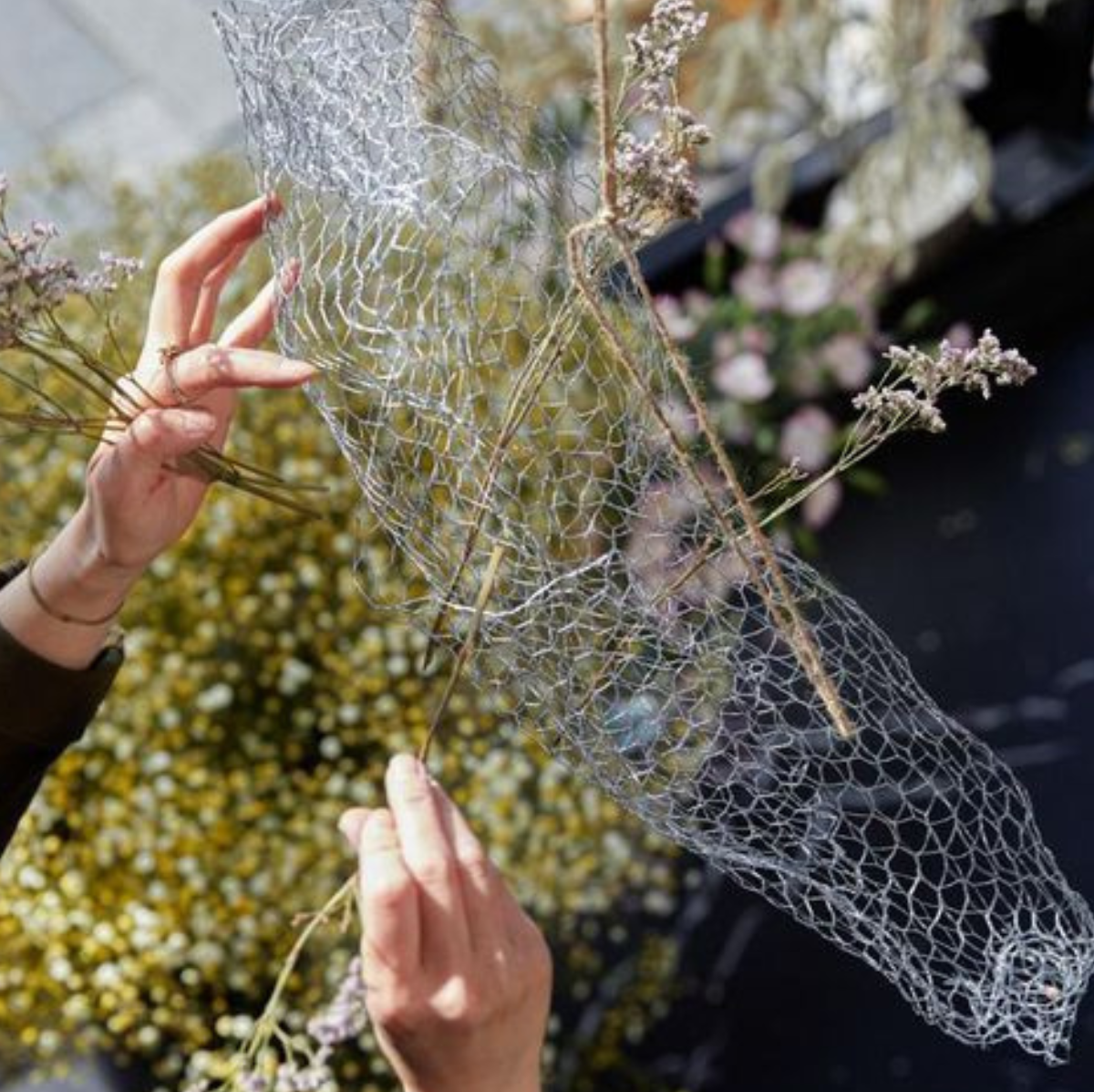 structure nuage fleur